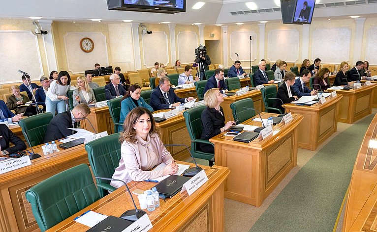 Президент РАФ Агнесса Осипова приняла участие в заседании Совета по развитию социальных инноваций субъектов РФ